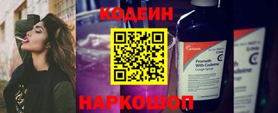 стаф Гатчина