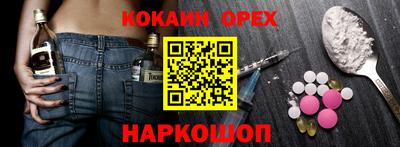 стаф Гатчина