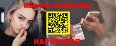 стаф Гатчина