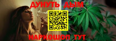 индика Гагарин