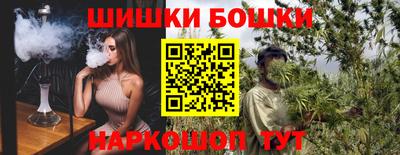 индика Гагарин