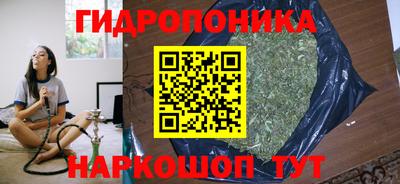 индика Гагарин