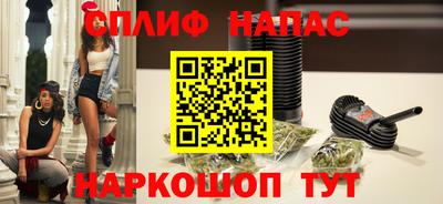 индика Гагарин