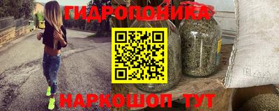 индика Гагарин