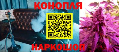 индика Гагарин