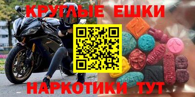 стаф Гатчина